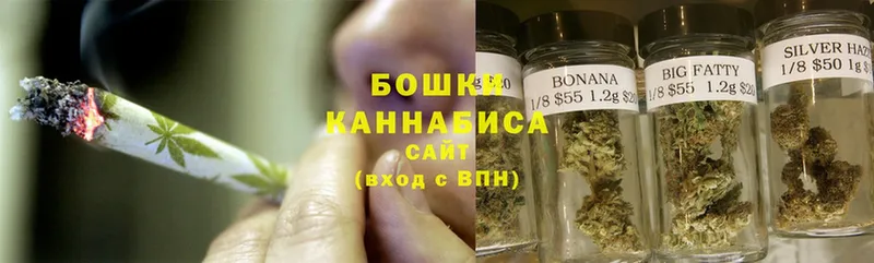 Каннабис OG Kush  Каневская 